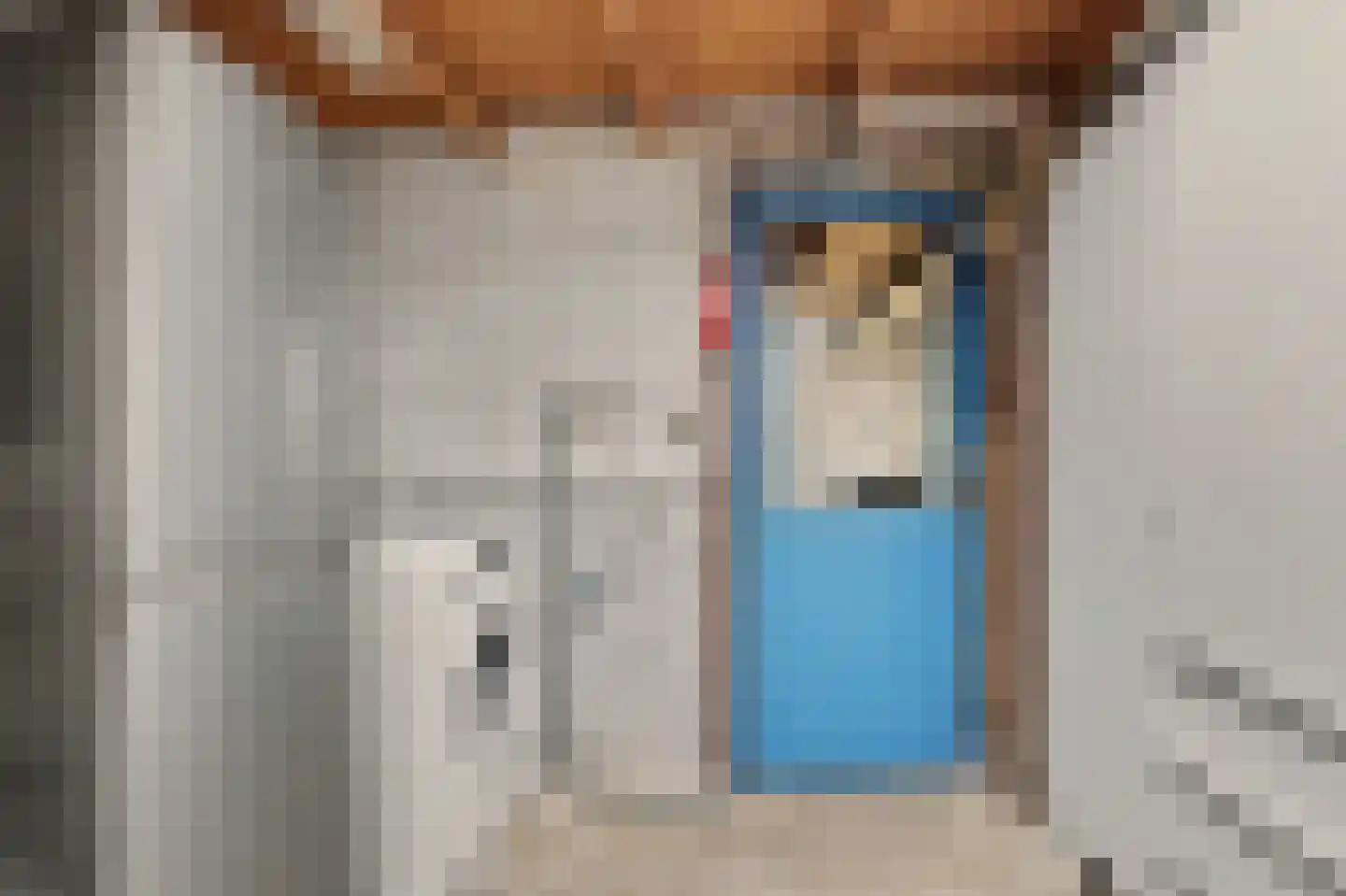 Van Hallstraat 38 Goes thumbnail 29