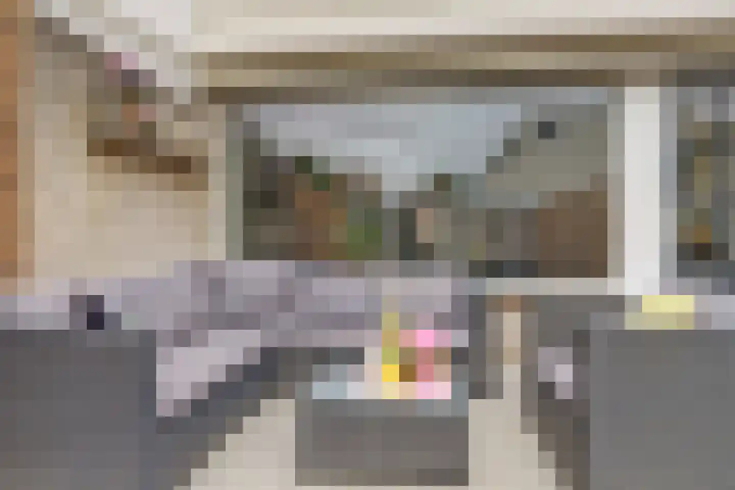 Van Hallstraat 38 Goes thumbnail 30