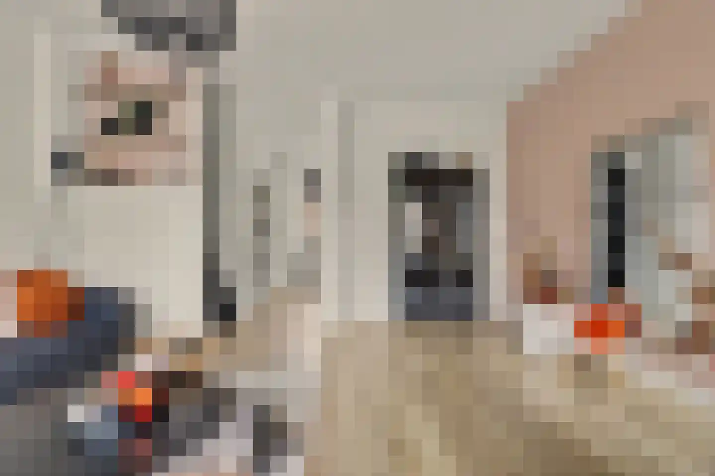 Van Hallstraat 38 Goes thumbnail 7