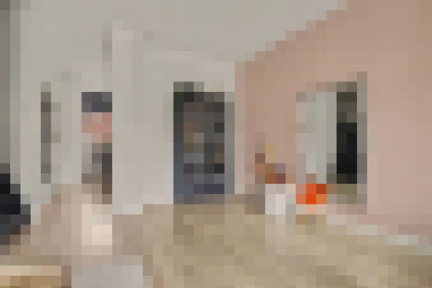 Van Hallstraat 38 Goes thumbnail 8