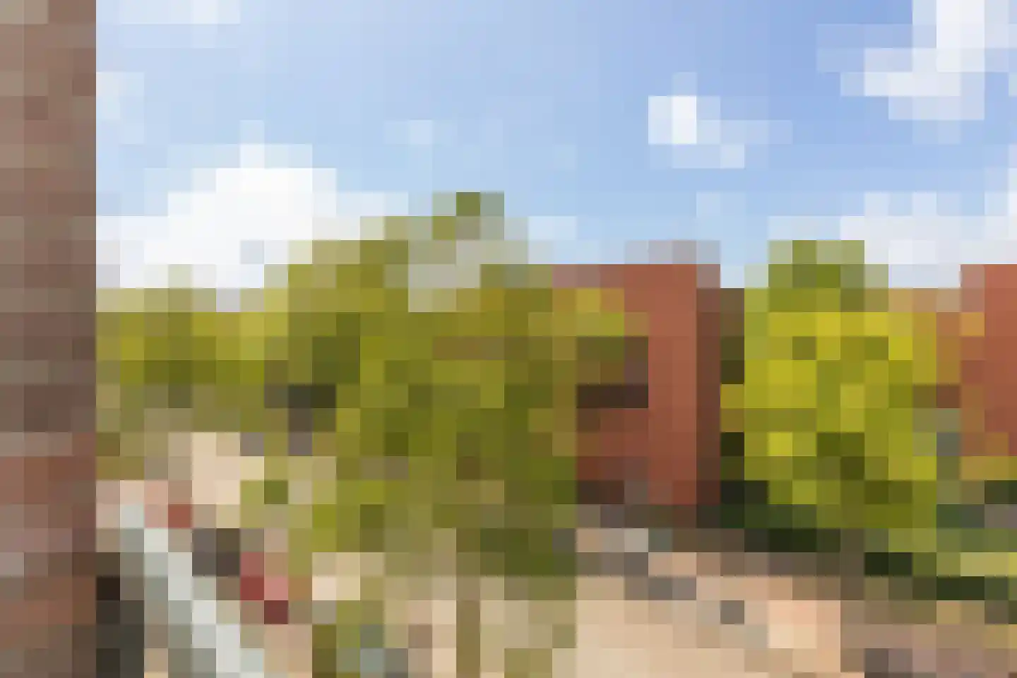 Van Hallstraat 39 1 Amsterdam thumbnail 12