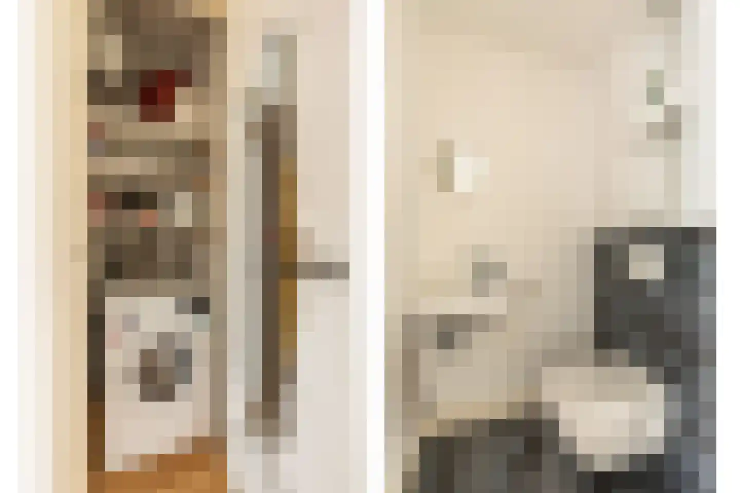 Van Hallstraat 39 1 Amsterdam thumbnail 28