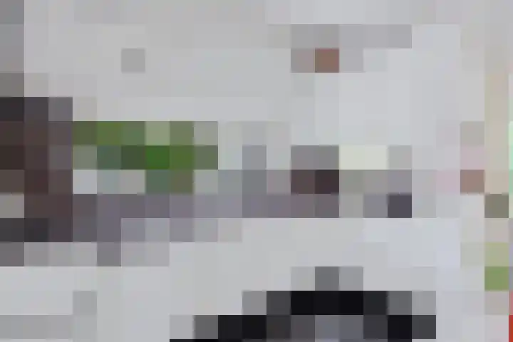 Van Hallstraat 51 Zwanenburg thumbnail 14