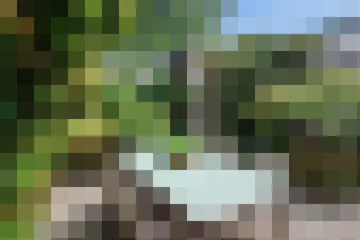 Van Hallstraat 51 Zwanenburg thumbnail 23