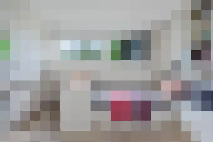 Van Hallstraat 51 Zwanenburg thumbnail 31