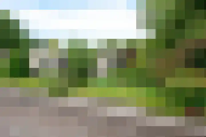 Van Hallstraat 51 Zwanenburg thumbnail 40