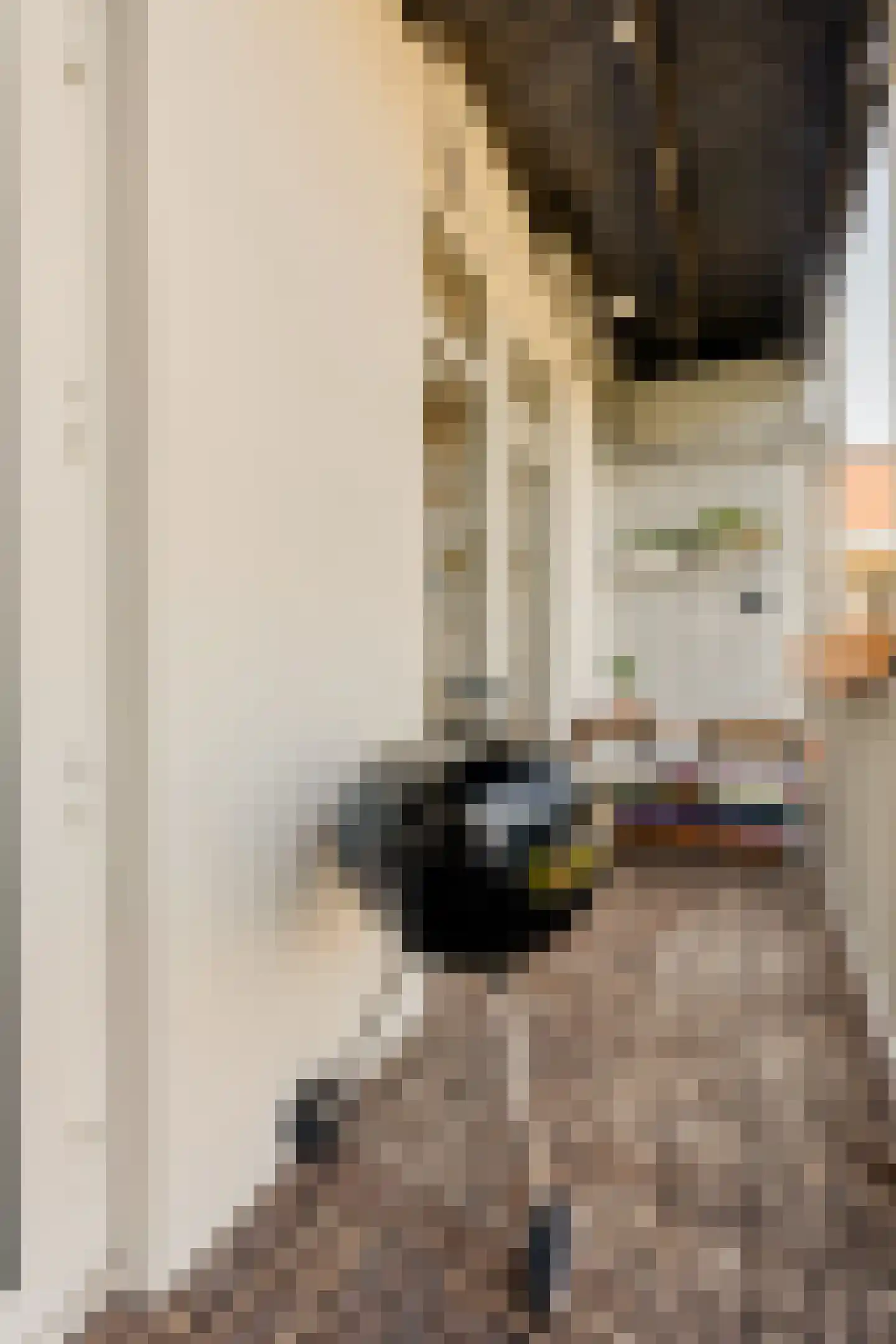 Van Hallstraat 59 3 Amsterdam thumbnail 19