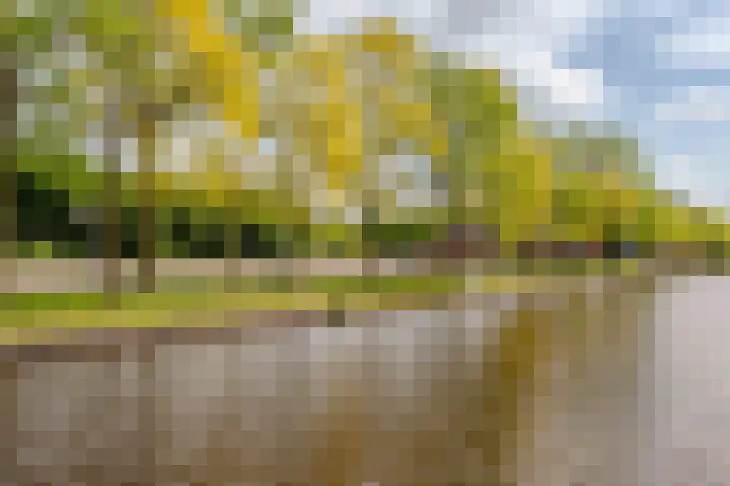 Van Hallstraat 59 3 Amsterdam thumbnail 44