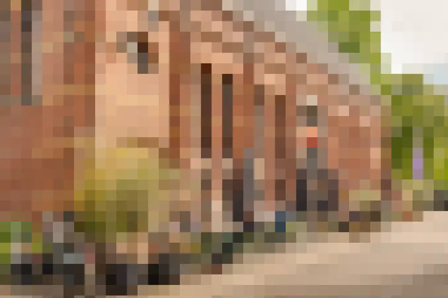 Van Hallstraat 59 3 Amsterdam thumbnail 45
