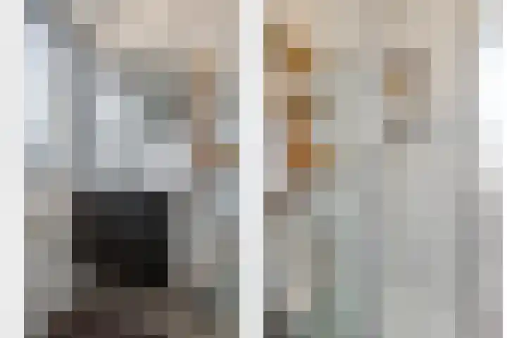 Van Hallstraat 6 Goes thumbnail 4