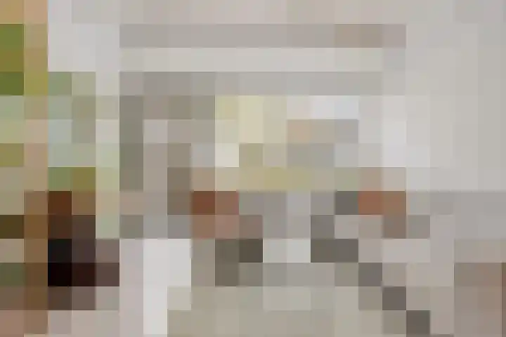 Van Hallstraat 6 Goes thumbnail 7