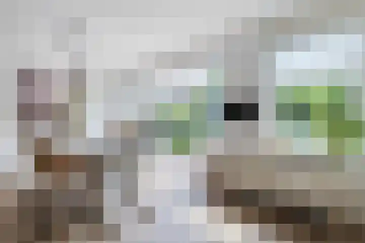 Van Hamallaan 13 Renswoude thumbnail 10