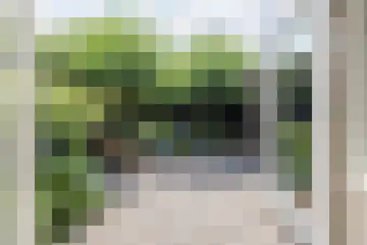 Van Hamallaan 13 Renswoude thumbnail 11