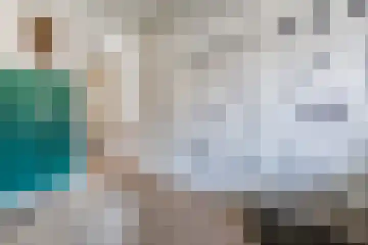 Van Hamallaan 13 Renswoude thumbnail 21