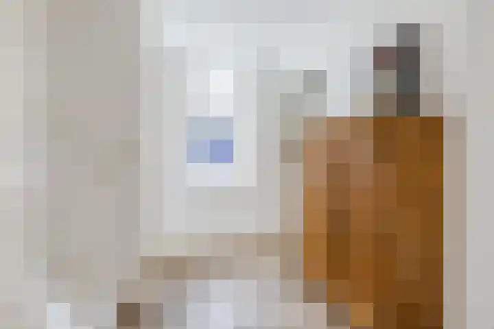Van Hamallaan 13 Renswoude thumbnail 29