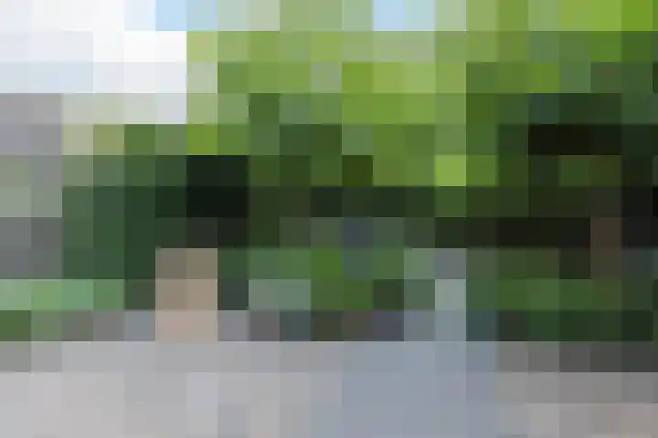 Van Hamallaan 13 Renswoude thumbnail 35