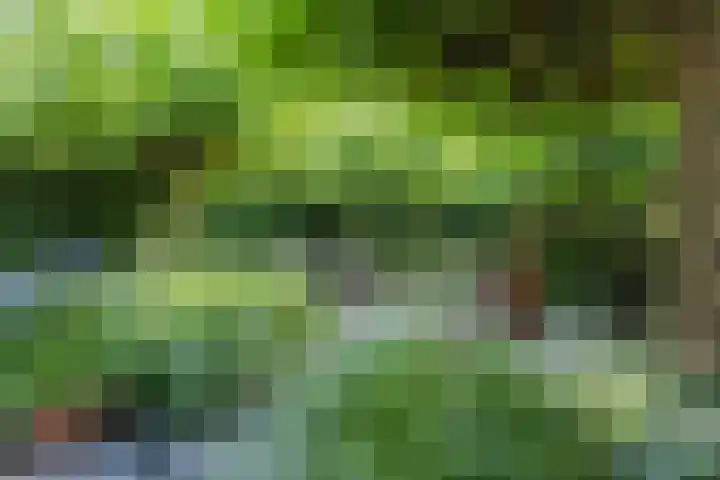 Van Hamallaan 13 Renswoude thumbnail 36