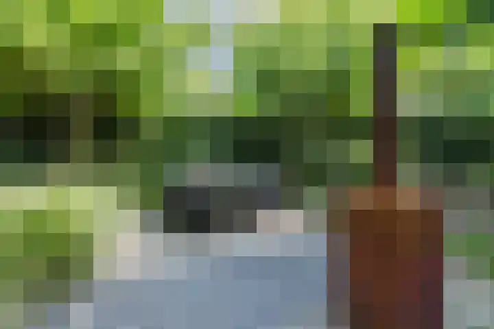 Van Hamallaan 13 Renswoude thumbnail 37
