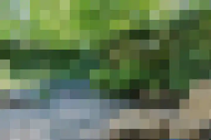 Van Hamallaan 13 Renswoude thumbnail 38