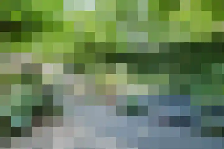 Van Hamallaan 13 Renswoude thumbnail 39