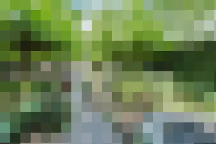 Van Hamallaan 13 Renswoude thumbnail 4