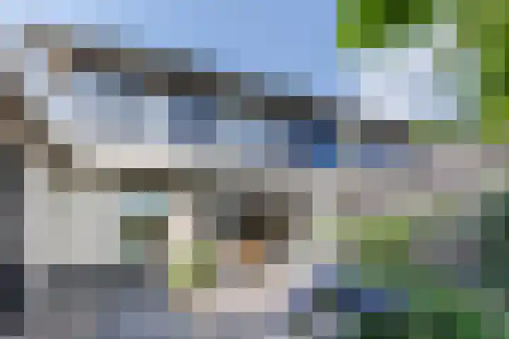 Van Hamallaan 13 Renswoude thumbnail 41