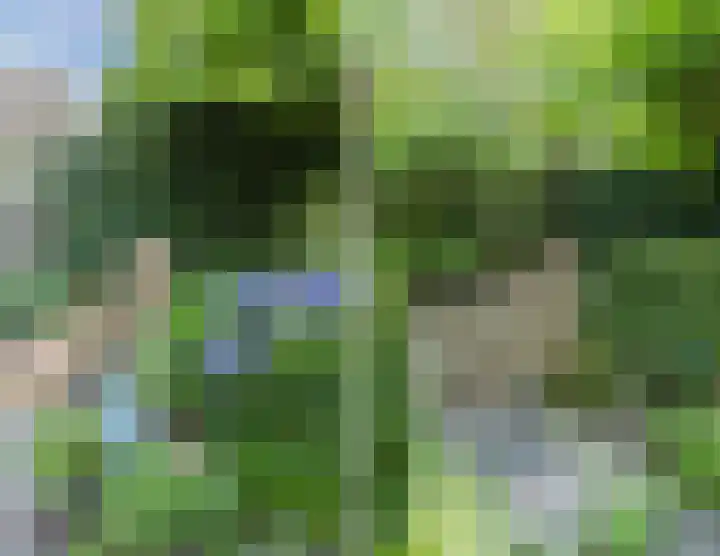 Van Hamallaan 13 Renswoude thumbnail 42
