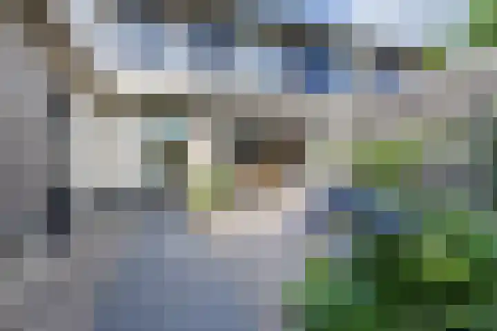 Van Hamallaan 13 Renswoude thumbnail 5
