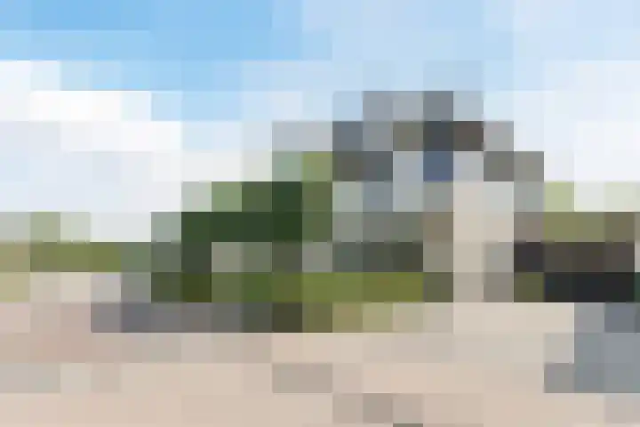 Van Hamallaan 13 Renswoude thumbnail 50