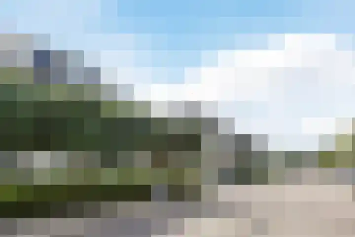 Van Hamallaan 13 Renswoude thumbnail 51