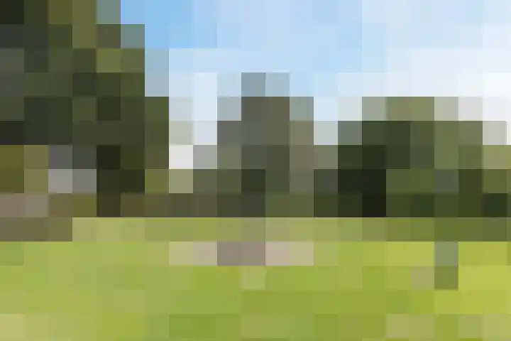 Van Hamallaan 13 Renswoude thumbnail 53