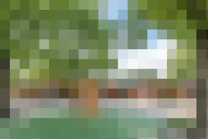 Van Hamallaan 13 Renswoude thumbnail 54