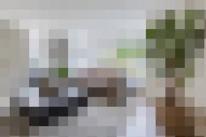 Van Hamallaan 13 Renswoude thumbnail 6