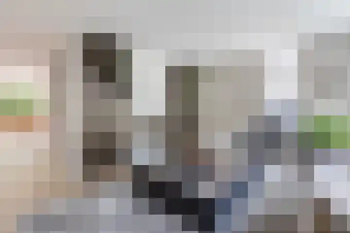 Van Hamallaan 13 Renswoude thumbnail 7
