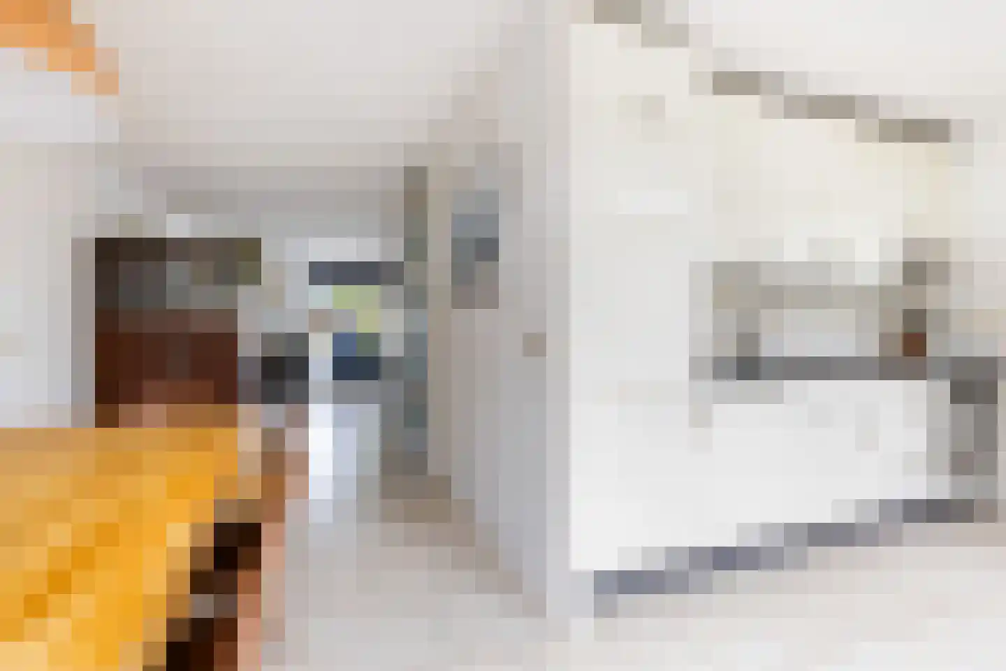 Van Hamallaan 27 Renswoude thumbnail 12