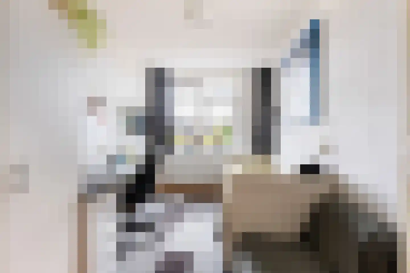 Van Hamallaan 27 Renswoude thumbnail 18