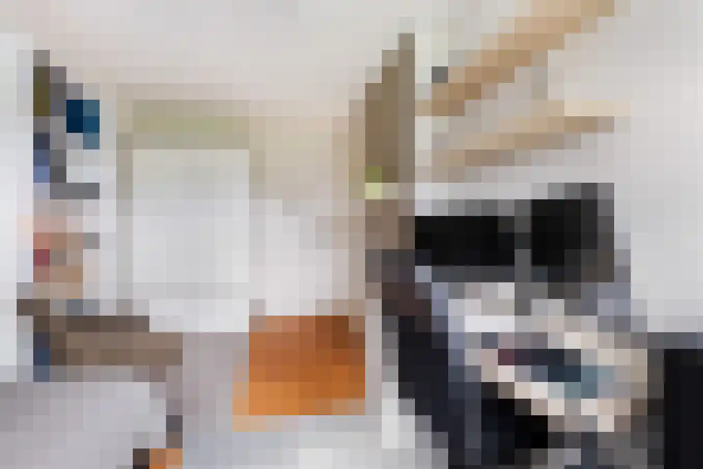 Van Hamallaan 27 Renswoude thumbnail 21