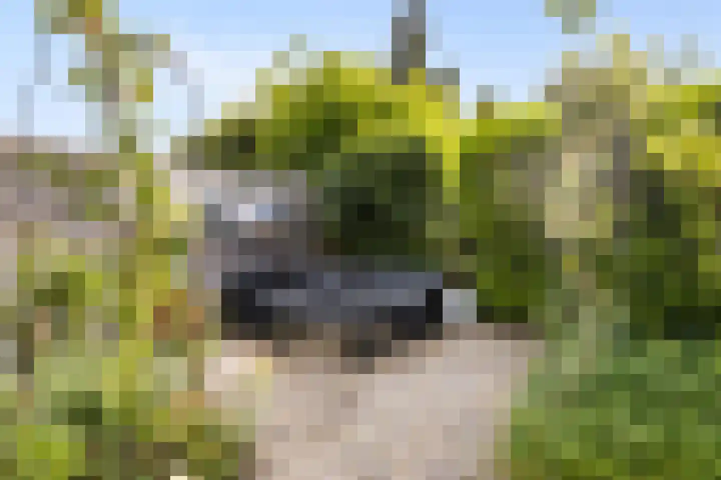 Van Hamallaan 27 Renswoude thumbnail 25