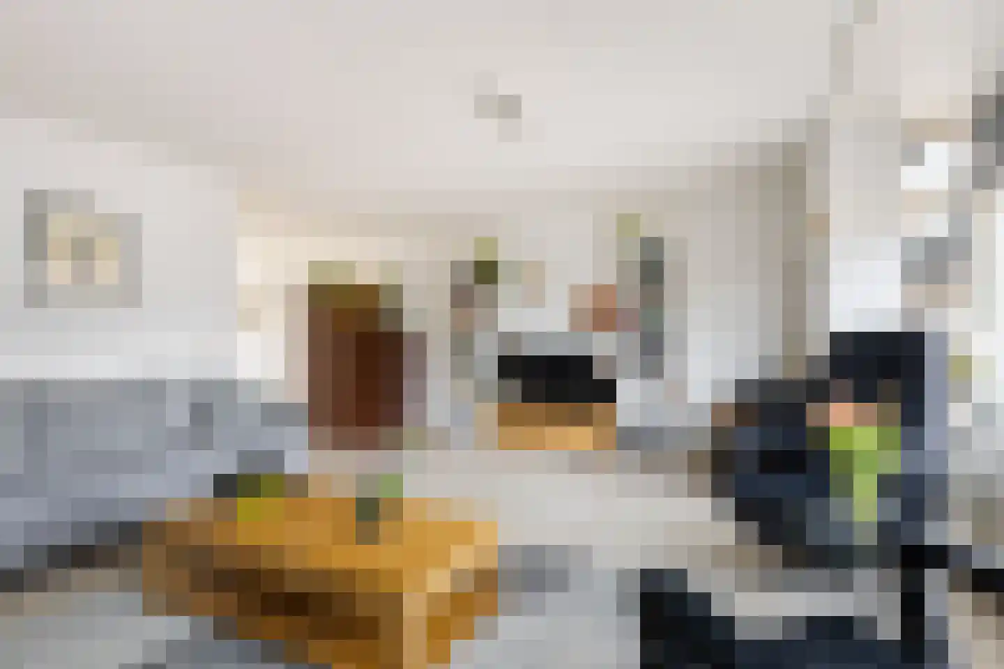 Van Hamallaan 27 Renswoude thumbnail 6