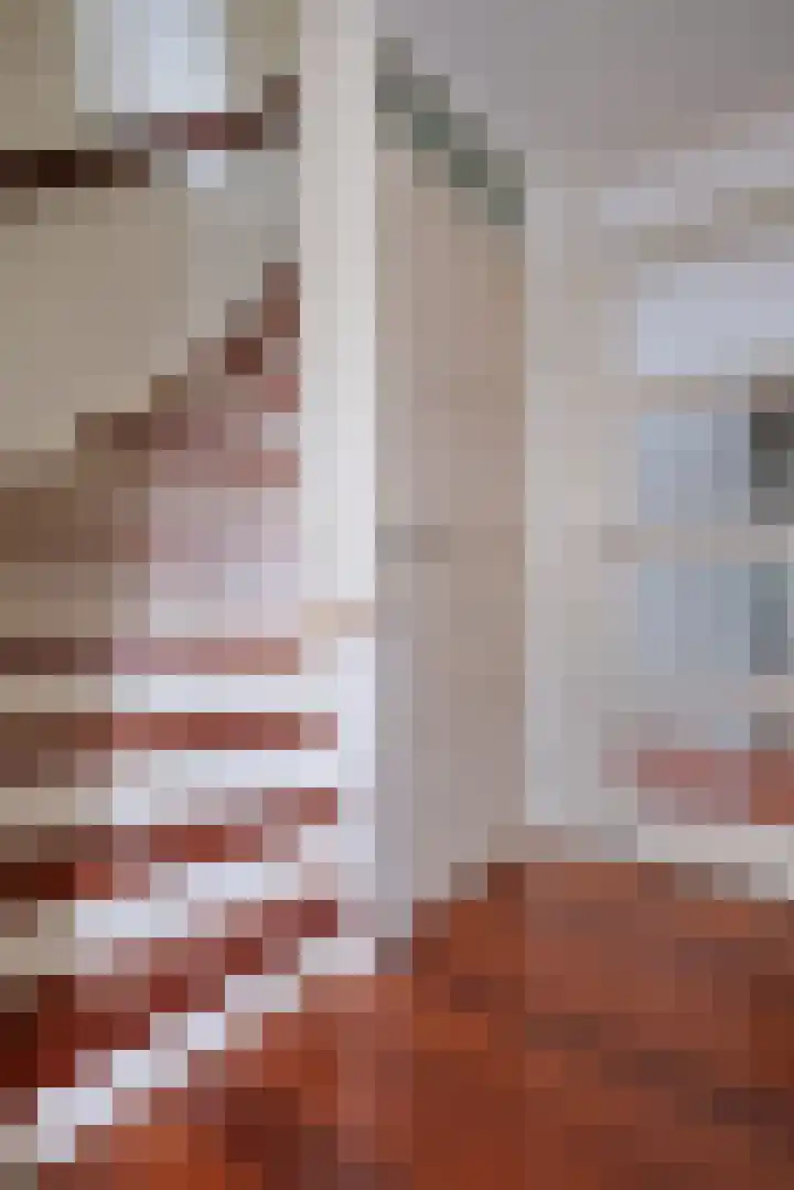 Van Hamallaan 6 Renswoude thumbnail 10