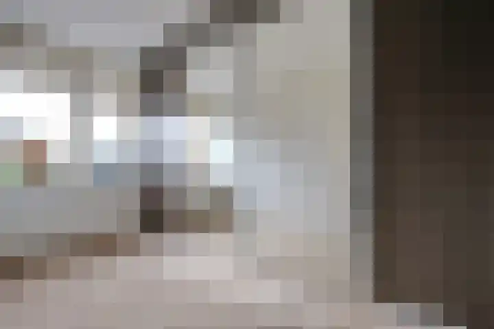 Van Hamallaan 6 Renswoude thumbnail 14