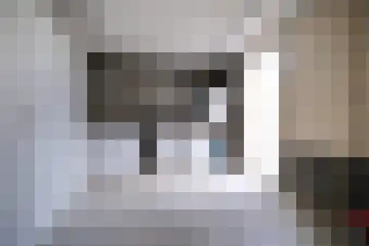 Van Hamallaan 6 Renswoude thumbnail 24