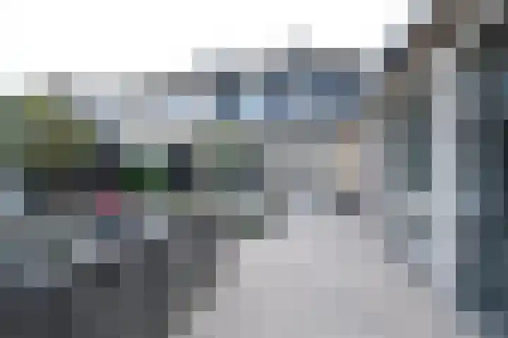 Van Hamallaan 6 Renswoude thumbnail 25