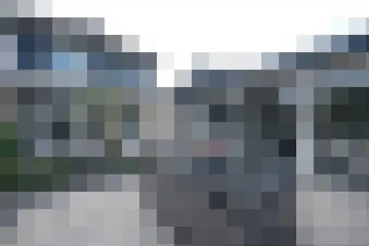 Van Hamallaan 6 Renswoude thumbnail 26