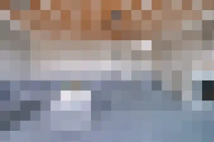 Van Hamallaan 6 Renswoude thumbnail 28