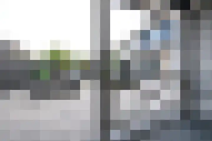 Van Hamallaan 6 Renswoude thumbnail 30