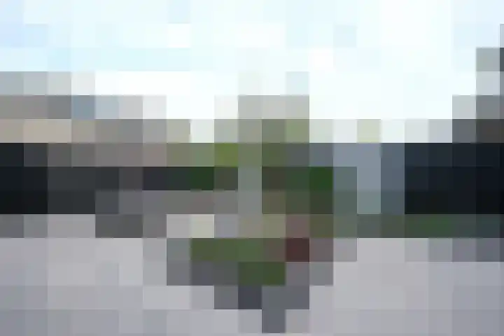 Van Hamallaan 6 Renswoude thumbnail 32