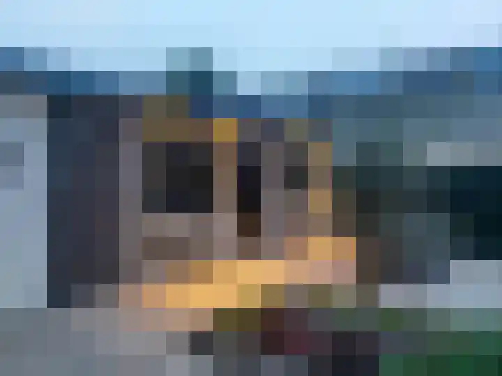 Van Hamallaan 6 Renswoude thumbnail 33