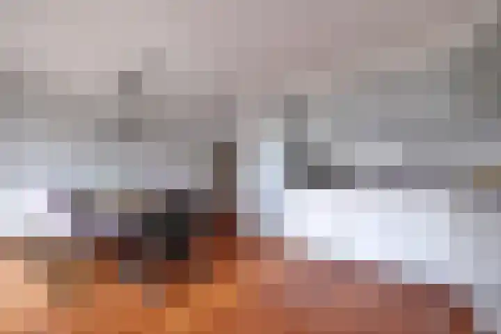 Van Hamallaan 6 Renswoude thumbnail 8