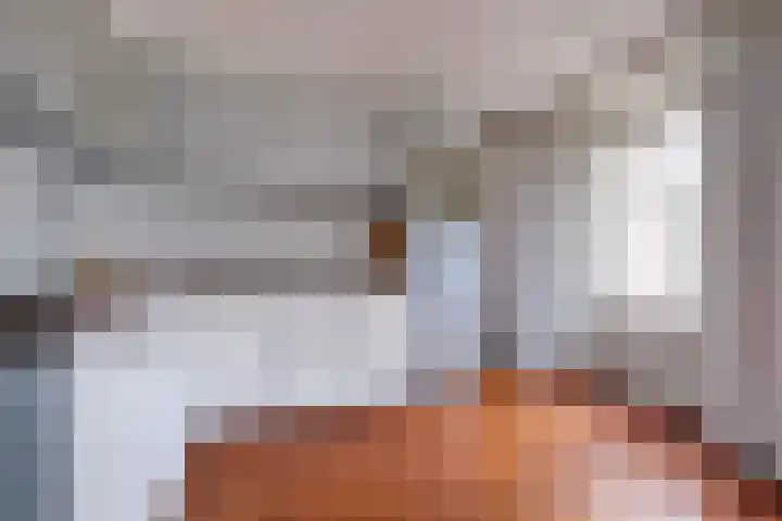 Van Hamallaan 6 Renswoude thumbnail 9